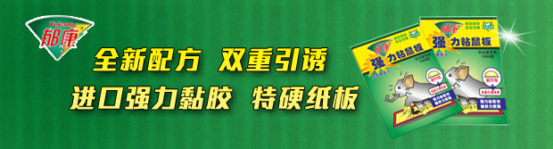 粘鼠板批發(fā),粘鼠板廠家