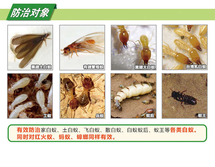 郁康20%吡蟲啉懸浮劑,吡蟲啉殺蟲劑,滅白蟻藥,吡蟲啉,白蟻藥